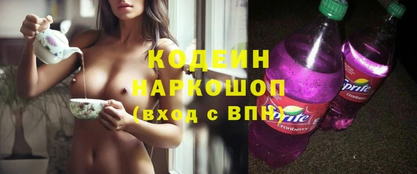 прущий лед Богданович