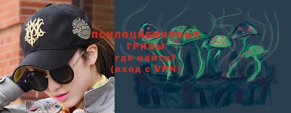 прущий лед Богданович