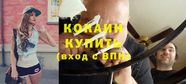 прущий лед Богданович