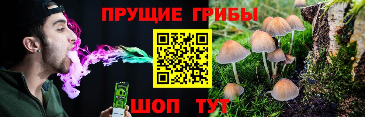 Луховицы  закладки  Вход с VPN  Псилоцибиновые грибы Psilocybe 